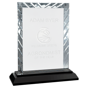 Rectangle Accent Glass on Black Base - Glass Award