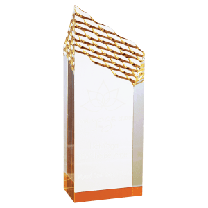 Riptide Acrylic Award