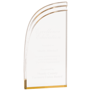 Wave Acrylic Award