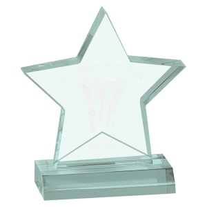 5" x 5" Star Acrylic Award with 4" Base Award