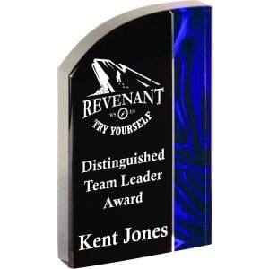 Wave Velvet/Vapor Acrylic Award