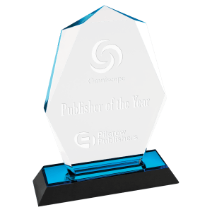 Octagon Point Impress Acrylic Award