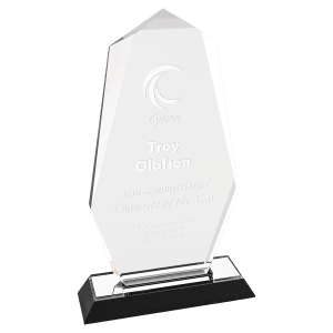 Octagon Point Impress Acrylic Award