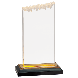 Frosted Impress Acrylic Award