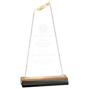 Gold Reflection Optima Acrylic with 5" Gold Mirror Base Award